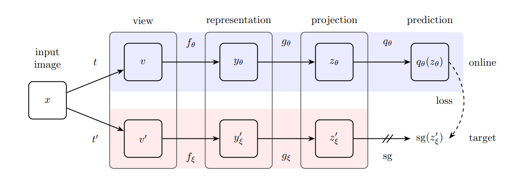 The official BYOL architecture diagram