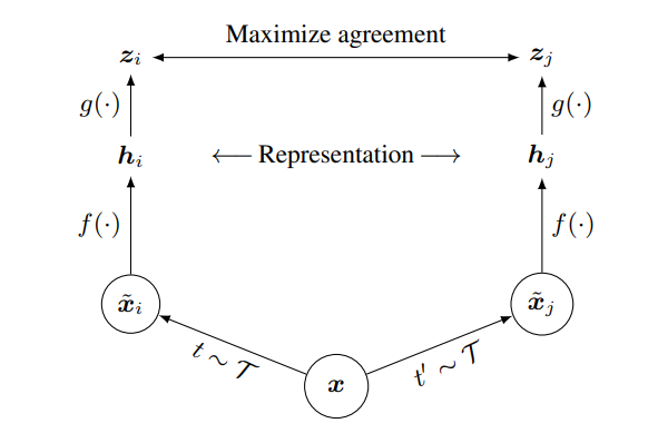 SimCLR Architecture Diagram
